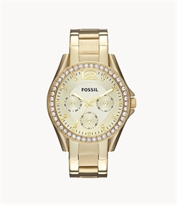 Fossil_ES3203