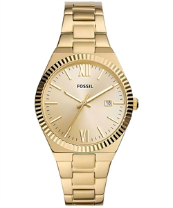 Fossil_ES5299