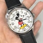 Fossil_SE1112
