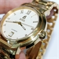 Borel_GG1856-9531