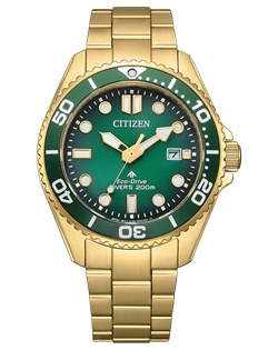 Citizen_BN0262-59W
