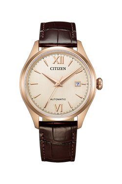 Citizen_NJ0243-06A