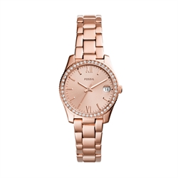 Fossil_ES4318