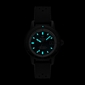 Zodiac_ZO9595