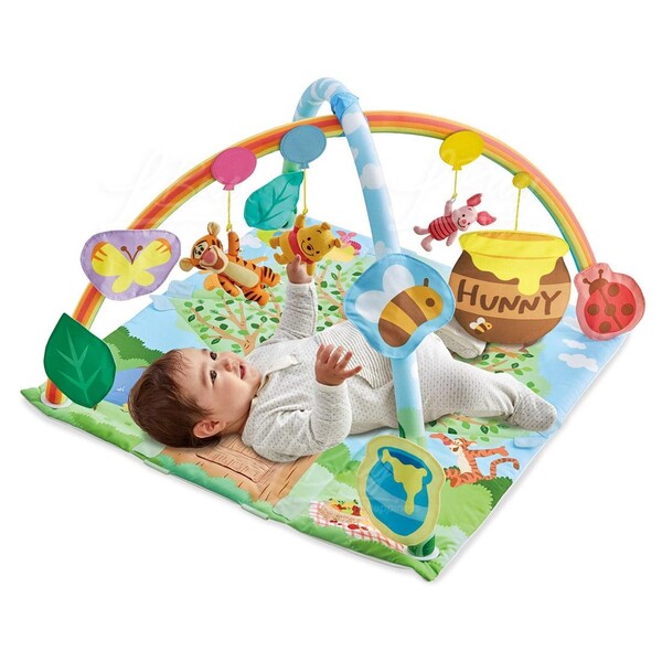 Winnie the pooh store baby gym