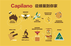 Capilano 有机生蜂蜜（擠壓裝） 340g