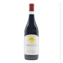 Fiorenzo Nada Barbera d’Alba 2019  (750ml)