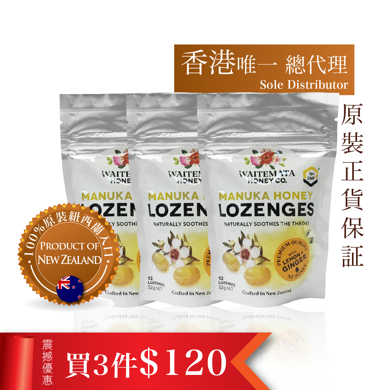 120粒 フラワー・ガーデニング 寒蘭-028 111-5H3 素光×力王 苗 交配種