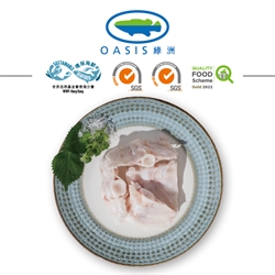 Oasis Giant Grouper Bone