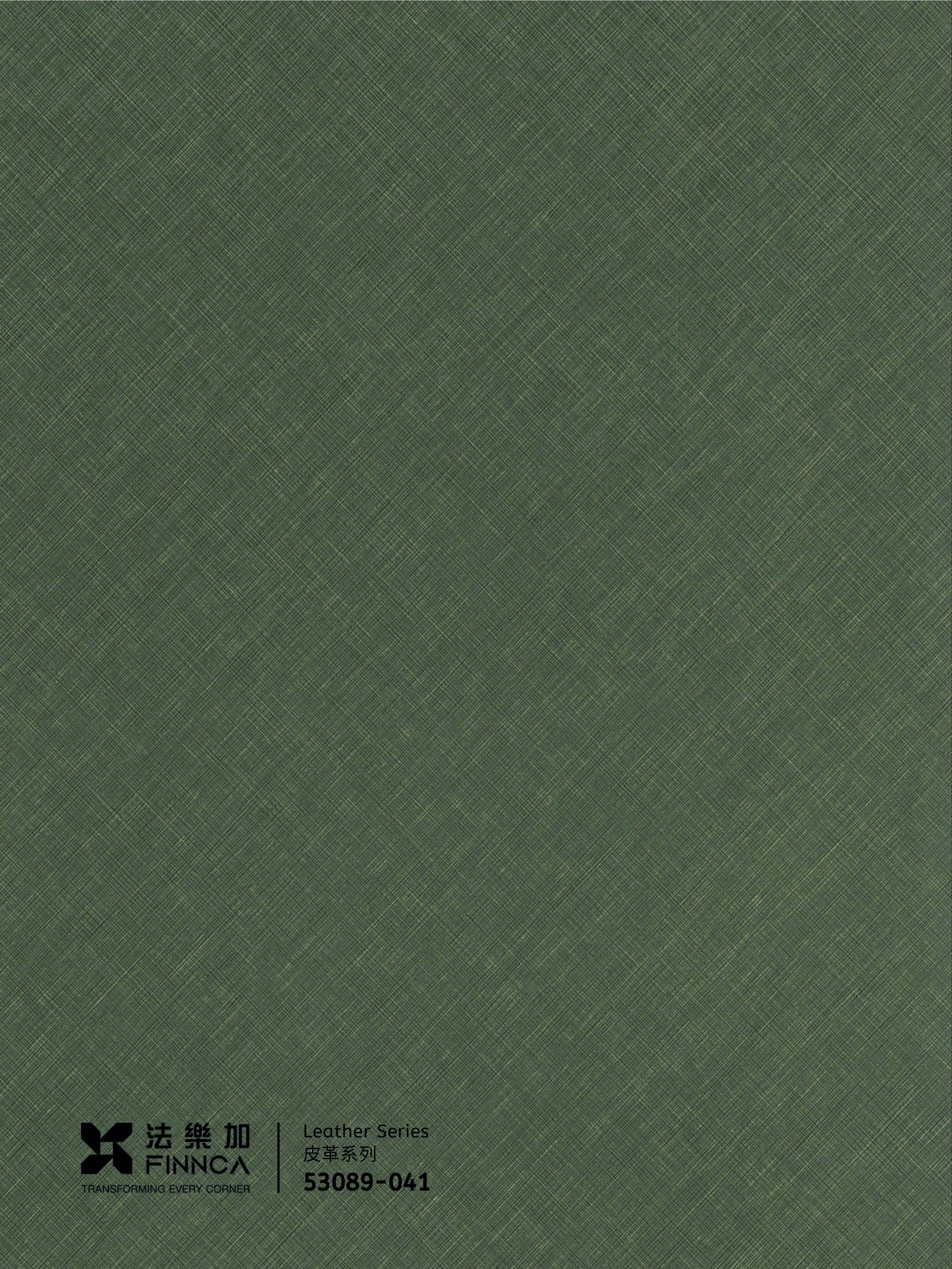 53089-041