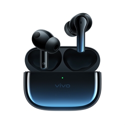 vivo TWS 2e