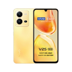 vivo V25 5G