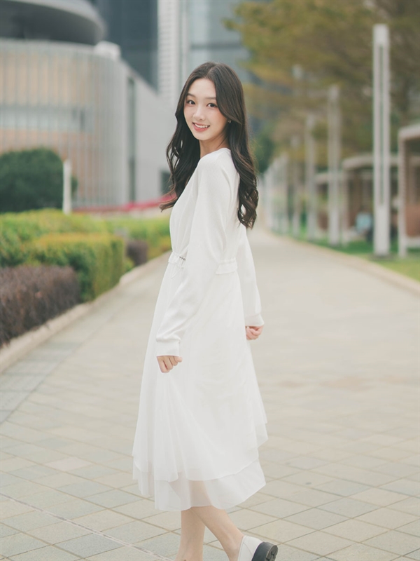 Raglan Sleeves Dress With Mesh Panel 