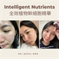 美國 INTELLIGENT NUTRIENTS RENEWALCOMPLEX SKINSERUM 12ml*1pc