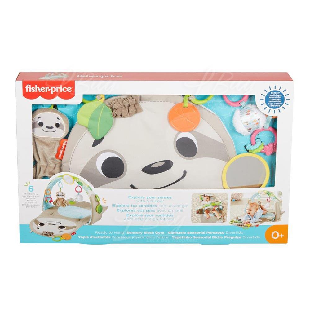 GNB52 Fisher-Price® Ready to Hang™ Sensory Sloth Gym
