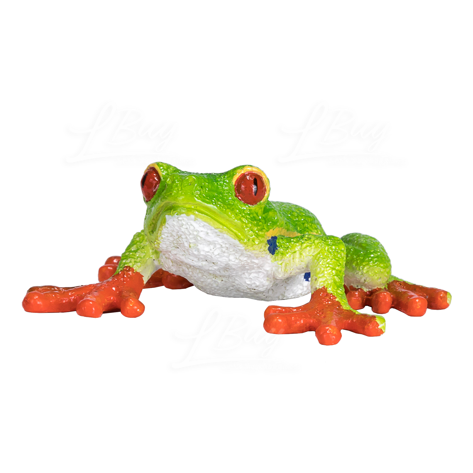 Red Eyed Tree Frog
