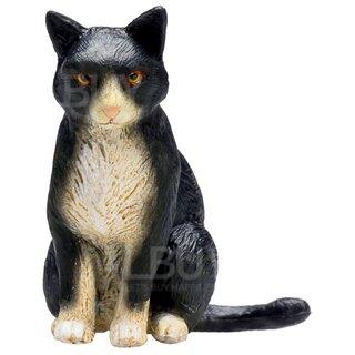 Cat Sitting Black and White