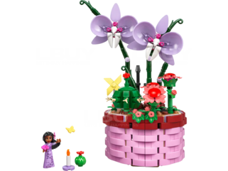 LEGO 43237 Disney 奇幻魔法屋伊莎貝拉的創意花盆 9+