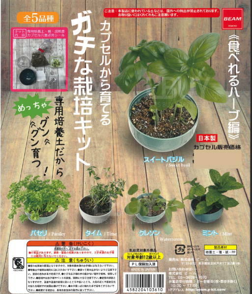 植栽迷你種植套裝 扭蛋隨機1款