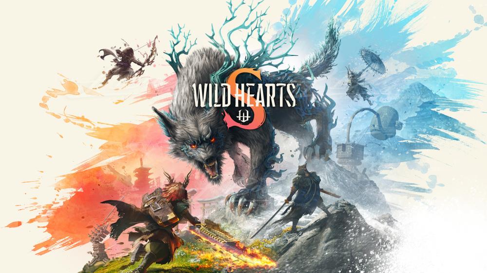 Nintendo Switch 2 Wild Hearts S