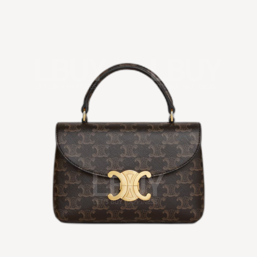 Celine Teen Nino Bag in Triomphe Canvas 标志印花手挽袋手袋