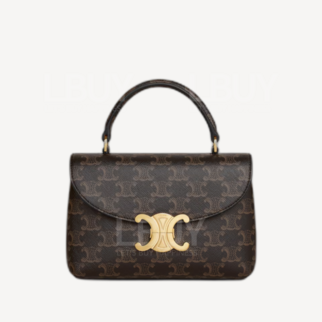 Celine Teen Nino Bag in Triomphe Canvas 标志印花手挽袋手袋